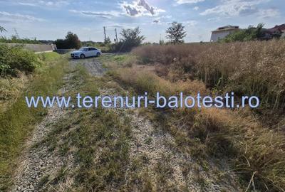 Teren ieftin la liziera padurii Balotesti, 350mp - 16