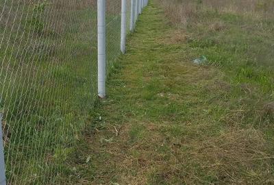 Inchiriez teren extravilan Comuna Turcine?ti, Aleea Poligonului - 4