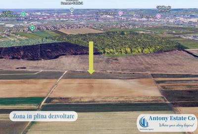 Oportunitate de investitie - Teren Cihei, langa Padurea Nojo - 1