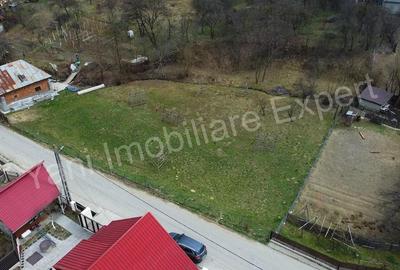 Teren de 1858 mp, în Dobrotu - 1