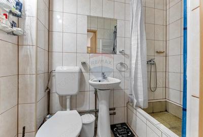 Apartament deosebit, o camera, langa Liceul Moise Nicoara - 5