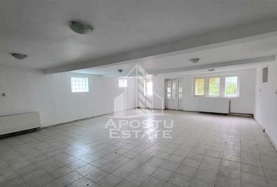 Casa ideala pentru birouri/alte activitati Mehala - 10