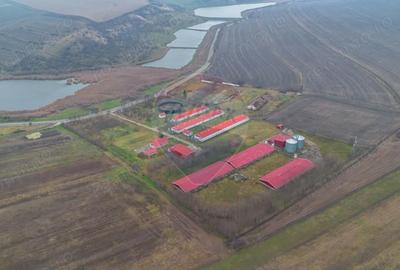 Teren de 43708 mp, în Scobâlțeni - 4