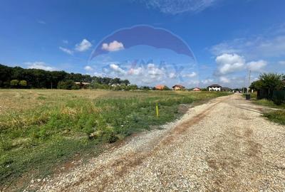 Teren Snagov adiacent Complex Sportiv Snagov - 6