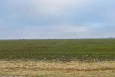 Teren Extravilan Cerna, cota parte 1/5 ID: R2581973 - 4