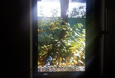 Apartanent in vila, cladire noua, aproape de centru, cu gradina privata de 40 mp - 11