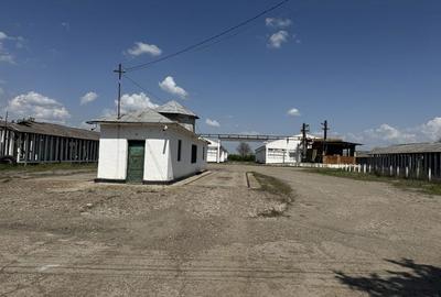 Spațiu comercial, în Bârlad - 5