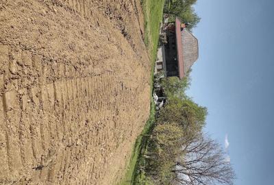 Casă cu Teren 11196 Mp în Central - 2