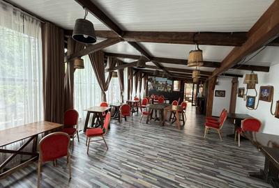 Spatiu comercial alimentatie publica, casa piratilor, 1115mp, manastur - 8