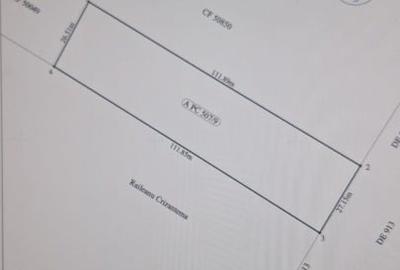 Teren de vanzare extravilan - 2