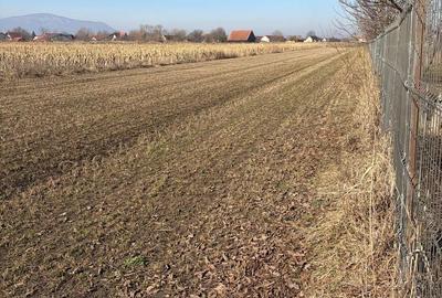 Spațiu comercial, în Stupini - 4