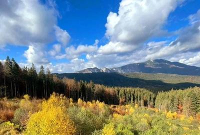 Aparthotel cu view superb Valea Prahovei - 3