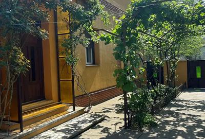 Vand cas in Sannicolau Mare - 9