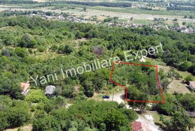 Teren de 2270 mp, în Valea Brazilor - 8