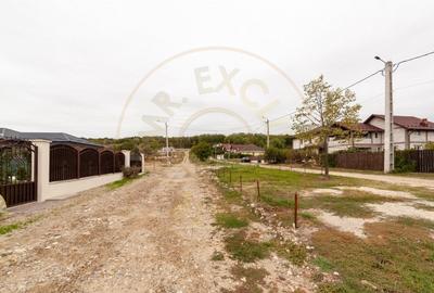 TEREN INTRAVILAN ARGESELU!!! - 5