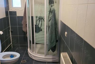 Casă cu 2 camere în Bran - 2