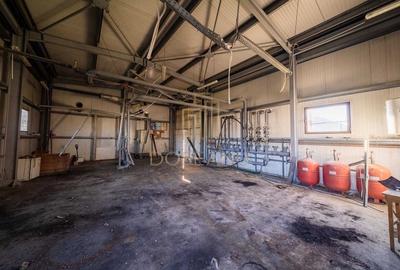 SPATIU MULTIFUNCTIONAL | DE INCHIRIAT | BEIUS - 16