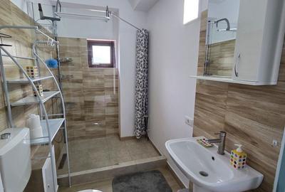 Apartament cu 2 camere în Mogoșoaia - 13