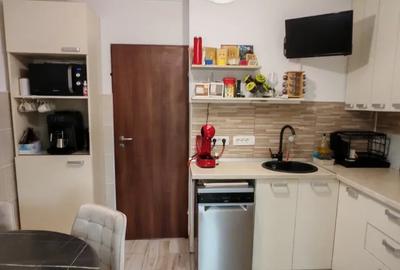 Apartament cu 3 camere decomandat, mobilat în Gorjului - 9