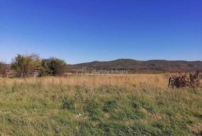 Teren intravilan 3000 mp constructii industriale Teren intravilan 3000 mp constructii industriale - 6