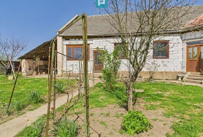 Casă individuală cu 4 camere cu Teren 5942 Mp în Gelu - 1