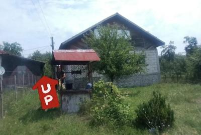 Casă cu 4 camere în Alimpești - 2