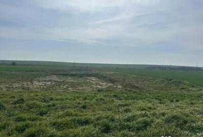 Teren în Valu lui Traian - 2