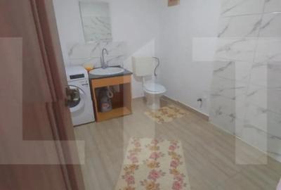 Casă cu 4 camere cu Teren 711 Mp în Vladimirescu - 4