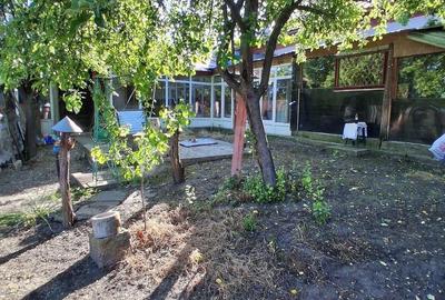 Casă cu Teren 1500 Mp în Dor Mărunt - 6