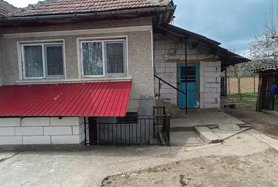 Casă cu Teren 1052 Mp în Bălteni - 5