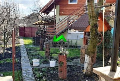Casa individuala pivnita garaj teren Sibiu strada Record - 3