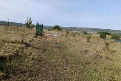 Teren de 500 mp, în Central