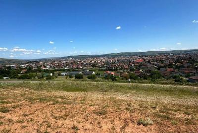 Teren de 746 mp, în Cetate - 2