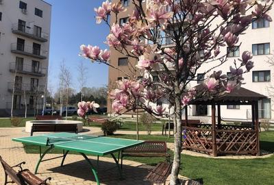 Apartamentul cu 2 camere, mobilat si utilat, parcare privata, Targoviste - 25