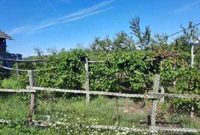 Casa de vanzare cu teren - 8