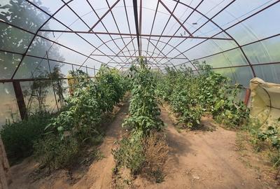 Casa In Ovidiu - La Doi Pasi De Lac - Teren Generos ! - 11