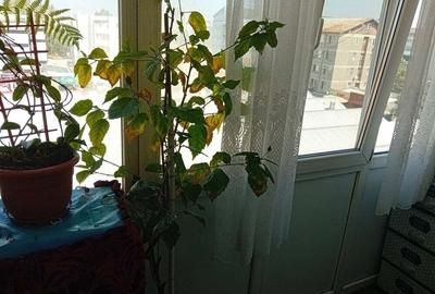 Apartament cu 3 camere decomandat în Central - 4