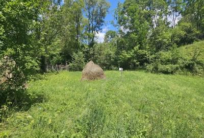 Teren agricol intravilan de 2500 mp, în Valea Doftanei - 10
