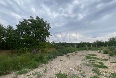 Teren agricol intravilan de 100000 mp, în Central - 7