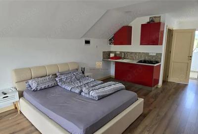 Casa de Vacanta la Munte - Dorna Arini! Vatra Dornei!! De Vanzare! 0727817187 - 17