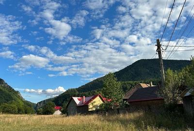 Spațiu comercial, în Lepșa - 7