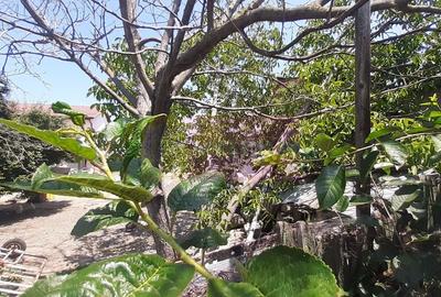 Teren foarte bun pentru construcție casă în Voluntari - 17