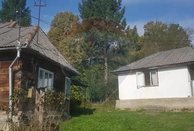 Casa si teren 1.6 ha de vanzare, in Rona de Jos - 1