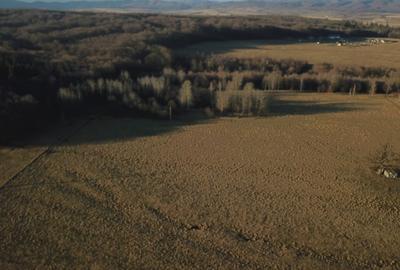 Teren de 12000 mp, în Vlădeni - 4