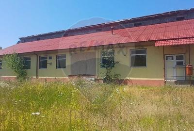 Spatiu comercial central Valea Lunga-Cricov de vanzare 2300 mp teren