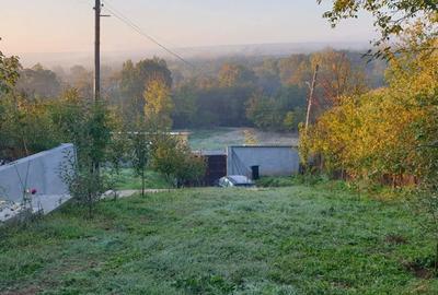 Casă cu 5 camere cu Teren 5400 Mp în Băleasa - 9