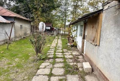 Casă cu 3 camere cu Teren 1065 Mp în Cuza Vodă - 5
