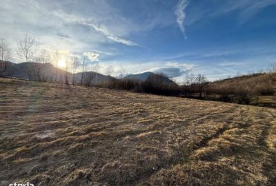 Spațiu comercial, în Bran - 13