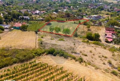 Spațiu comercial, în Miniș - 10