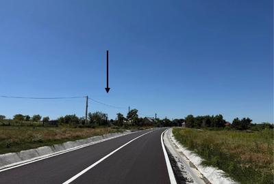 Teren sat Bogdanesti, com. Horlesti - 2